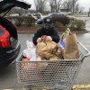 2020-Scouting For Food